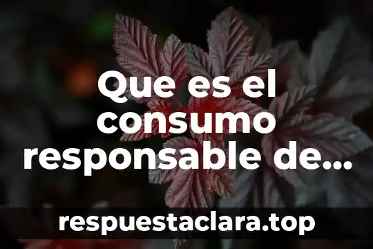 Que es el consumo responsable de productos y servicios