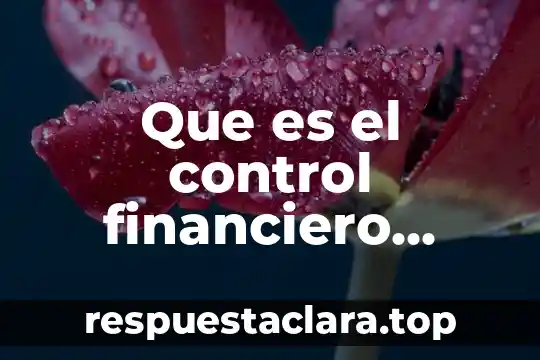 Que es el control financiero dupont