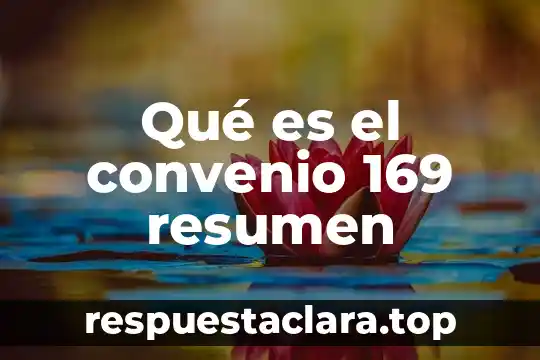 Que es el jip jop resumen 8 Qué es el convenio 169 resumen