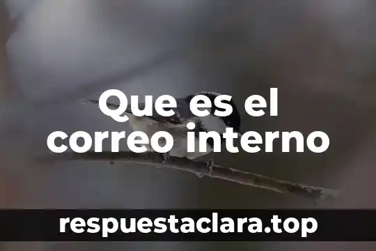 Que es ser godinez en mexico 5 Que es el correo interno