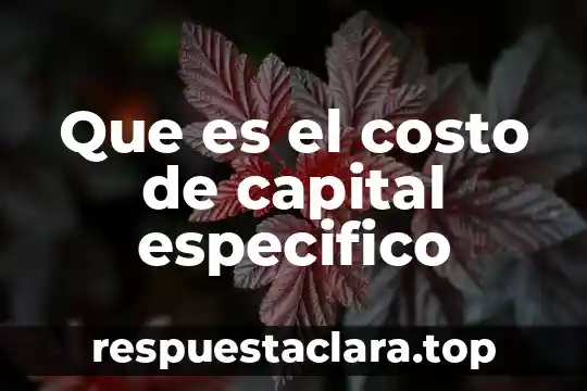 Que es el costo de capital especifico