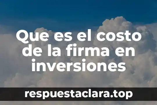 Que es el costo unitario de zapatos 7 Que es el costo de la firma en inversiones