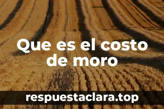 Que es el costo unitario de zapatos 3 Que es el costo de moro