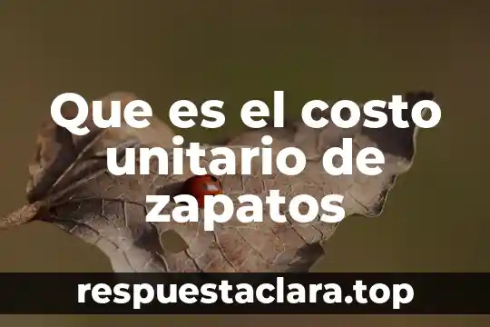 Que es el costo de la firma en inversiones 3 Que es el costo unitario de zapatos