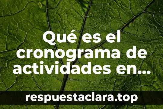 Qué es el cronograma de actividades en un proyecto