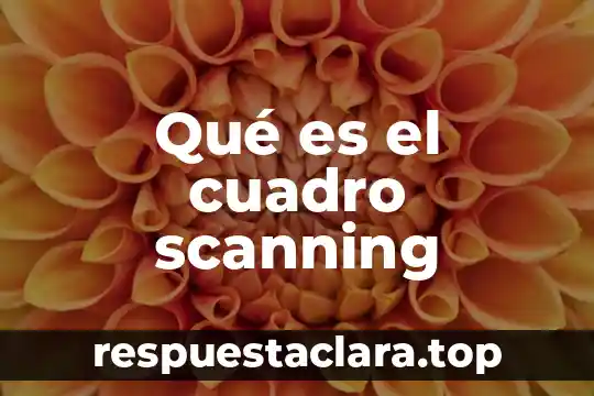 Qué es el cuadro scanning