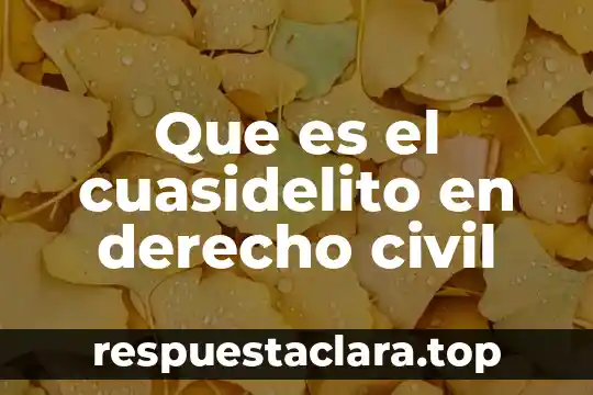 Que es el nombre codigo civil 6 Que es el cuasidelito en derecho civil