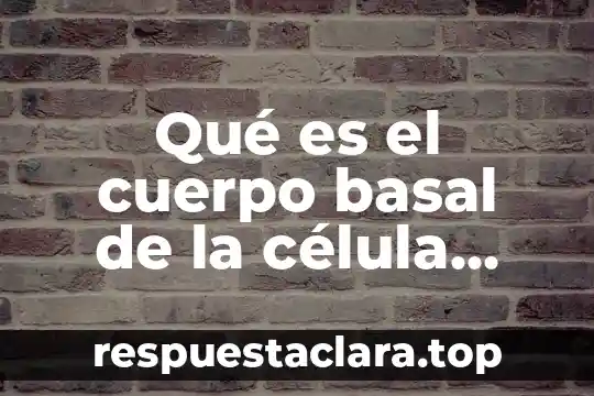 Qué es el cuerpo basal de la célula animal