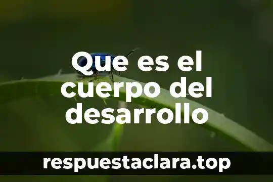 Que es el cuerpo del desarrollo