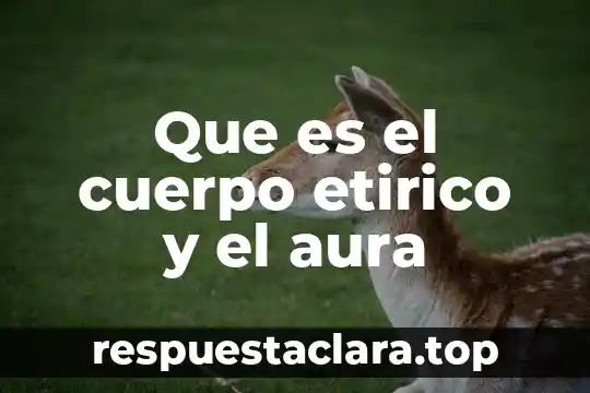 Que es el cuerpo etirico y el aura