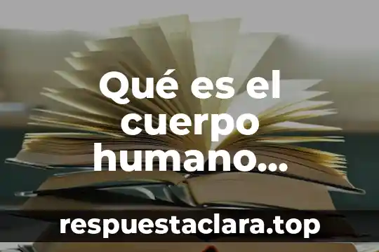 Qué es el espectro visible humano del color 3 Qué es el cuerpo humano anatómicamente