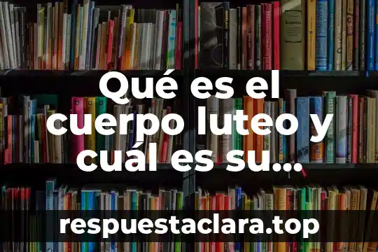 Qué es el cuerpo luteo y cuál es su función