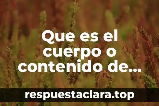 Que es el cuerpo o contenido de un libro