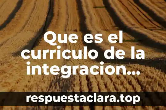 Que es el curriculo de la integracion educativa