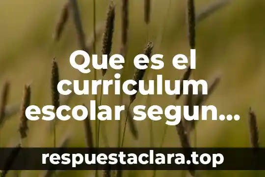 Que es el curriculum oculto en educacion yahoo 3 Que es el curriculum escolar segun gimeno sacristan