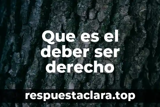 Que es el deber ser derecho