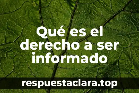 Qué es el derecho a ser informado