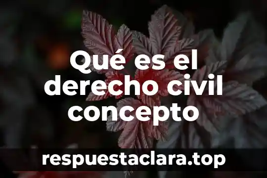 Qué es el derecho civil concepto
