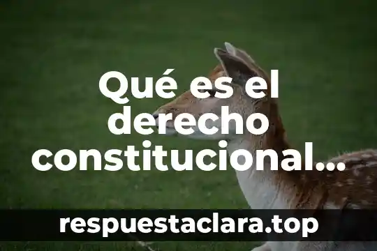 Que es la firma en derecho amparo 7 Qué es el derecho constitucional pietro garofalo