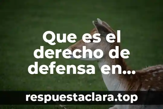 Que es la calidad personal en derecho penal 6 Que es el derecho de defensa en materia penal mexicano