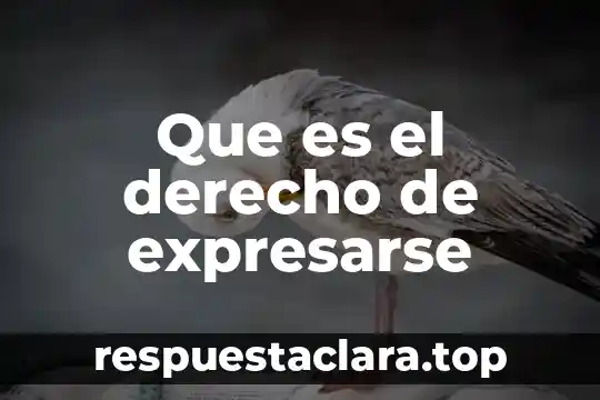 Que es el derecho de expresarse