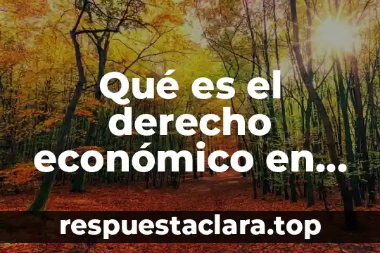 Qué es el derecho económico en palabras breves