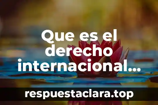Que es el derecho internacional de la inversion extranjera