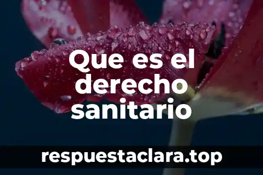 Que es herencia en derecho sucesorio 7 Que es el derecho sanitario