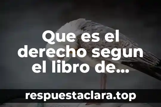 Qué es una firma en derecho mercantil 8 Que es el derecho segun el libro de garcia maynez