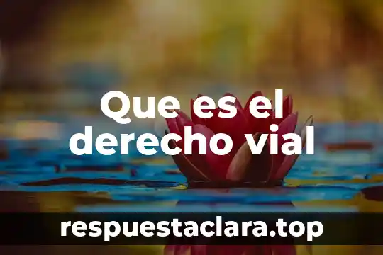 Que es el derecho vial