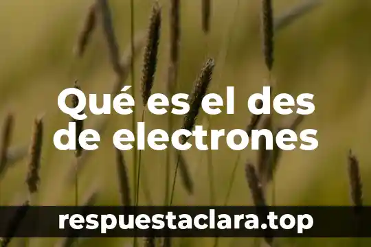 Qué es el des de electrones