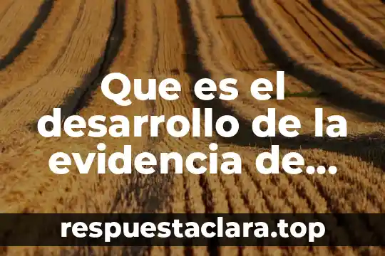 Que es el desarrollo de la evidencia de aprendizaje