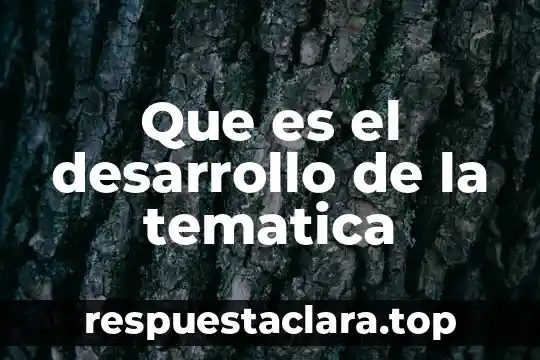 Que es el desarrollo de la tematica