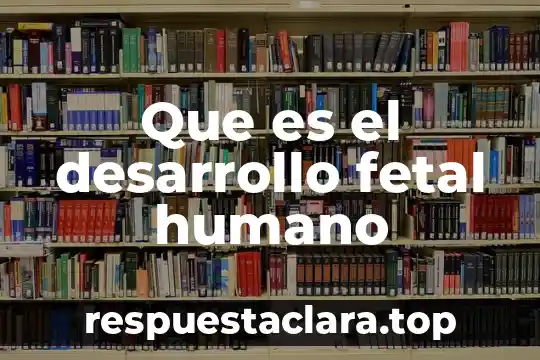 Que es el desarrollo fetal humano