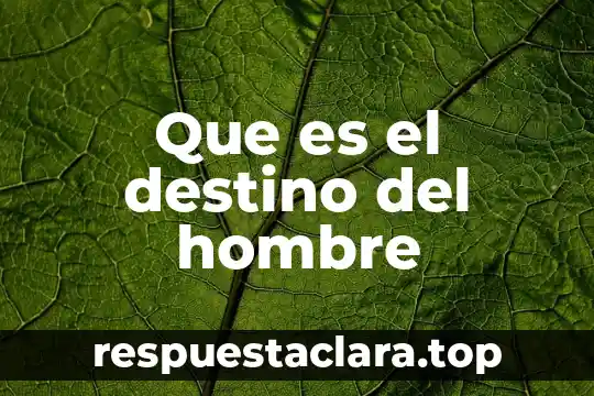 Qué es el hombre en el judaísmo 5 Que es el destino del hombre