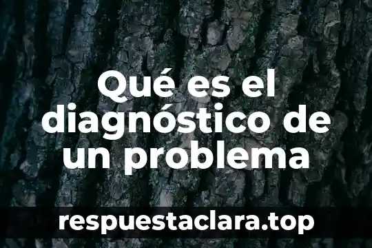 Qué es instinto animal 3 Qué es el diagnóstico de un problema