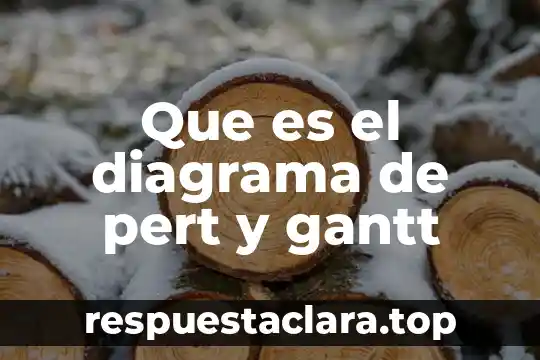 Que es el diagrama de pert y gantt