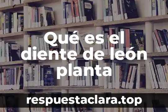 Que es un convenio codigo civil nuevo leon 7 Qué es el diente de león planta