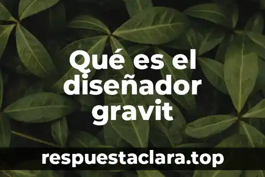 Que es lo que significa un diseñador 8 Qué es el diseñador gravit