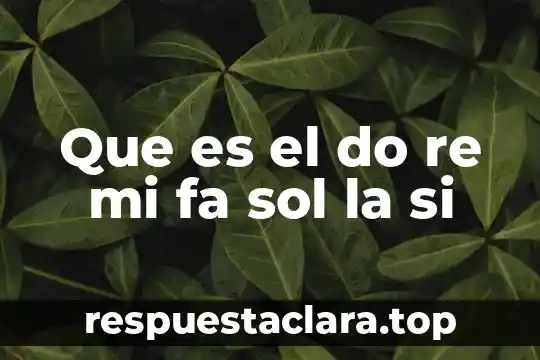 Por que es importante la estadistica en mi carrera 7 Que es el do re mi fa sol la si