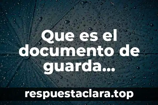 Que es el documento de guarda custodia
