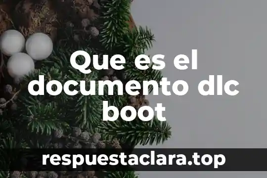 Que es el documento dlc boot