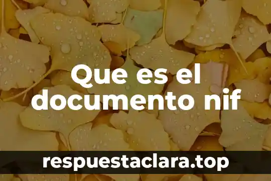 Que es el documento nif
