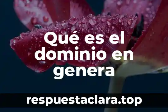 Qué es el dominio en genera