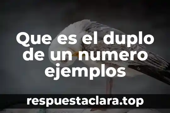 Qué es la libertad resumido 8 Que es el duplo de un numero ejemplos