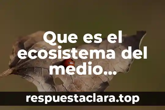 Qué es un ambiente pulvigeno 8 Que es el ecosistema del medio ambiente