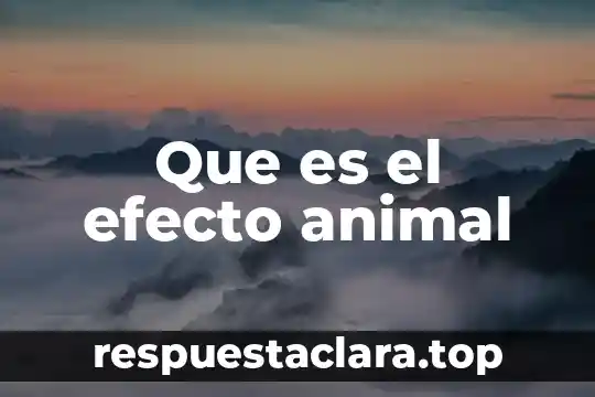 Que es el centro de reseteo en animal crossing 8 Que es el efecto animal
