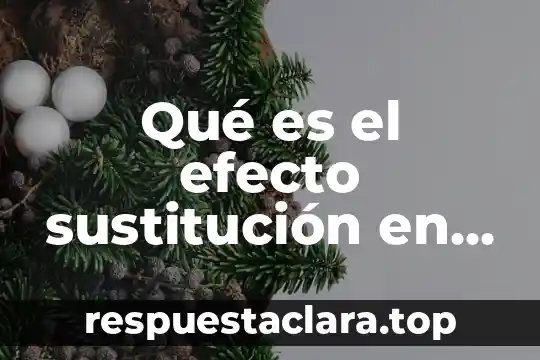 Qué es el efecto sustitución en economía