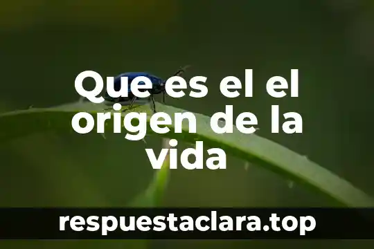 Que es la estrella de la vida y que significa 5 Que es el el origen de la vida