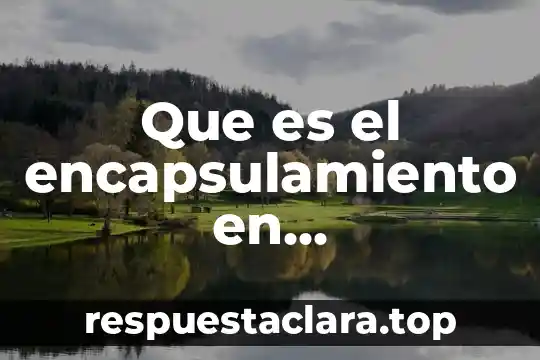 Que es la arquitectura de software orientada a servicios soa 8 Que es el encapsulamiento en programacion orientada a objetos